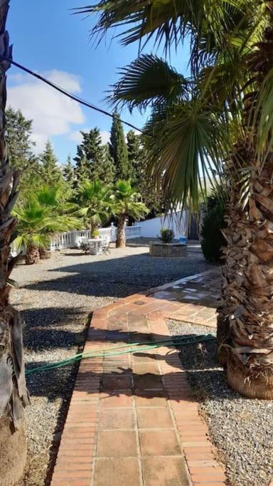 Charming House With Pool & Barbecue Villa Valle de Abdalagís Exterior photo
